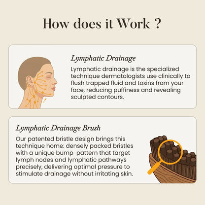 Lymphatic  Brush for Snatched Face