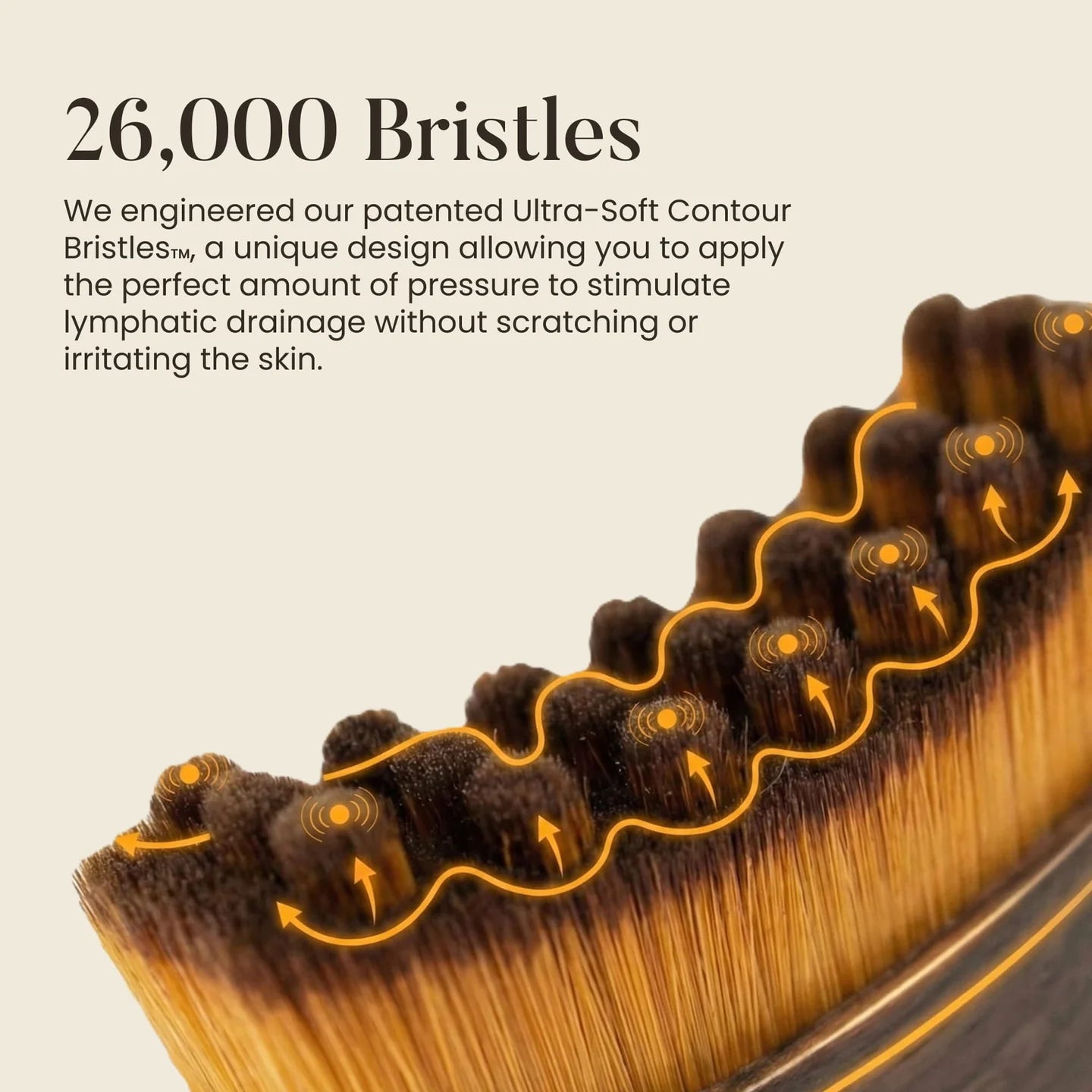 Lymphatic  Brush for Snatched Face